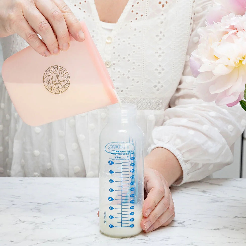 Reusable Breast Milk Storage Bags - 2 pack