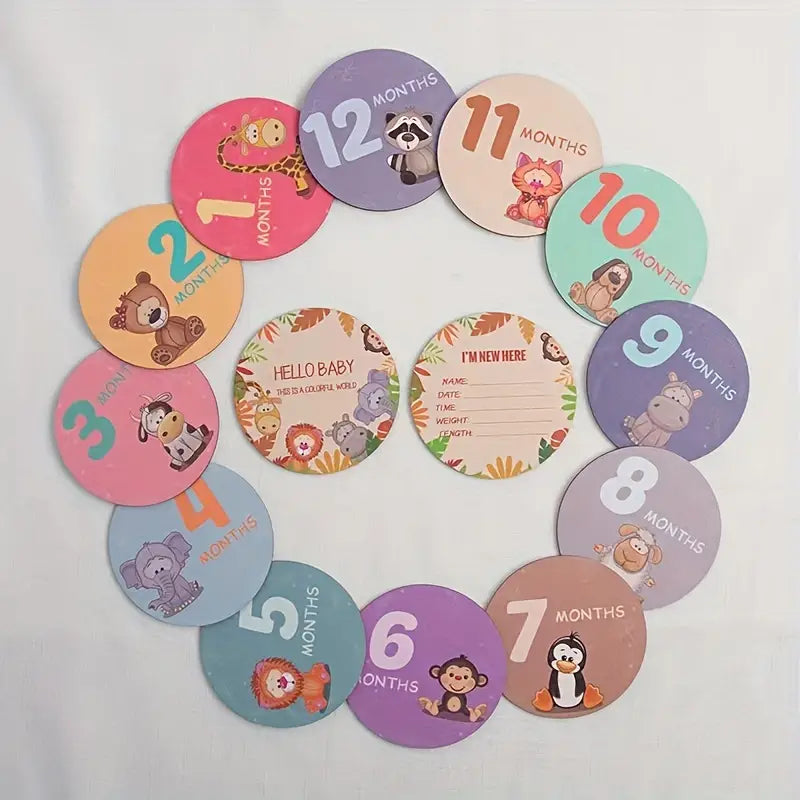 Milestone Disks Gift Set